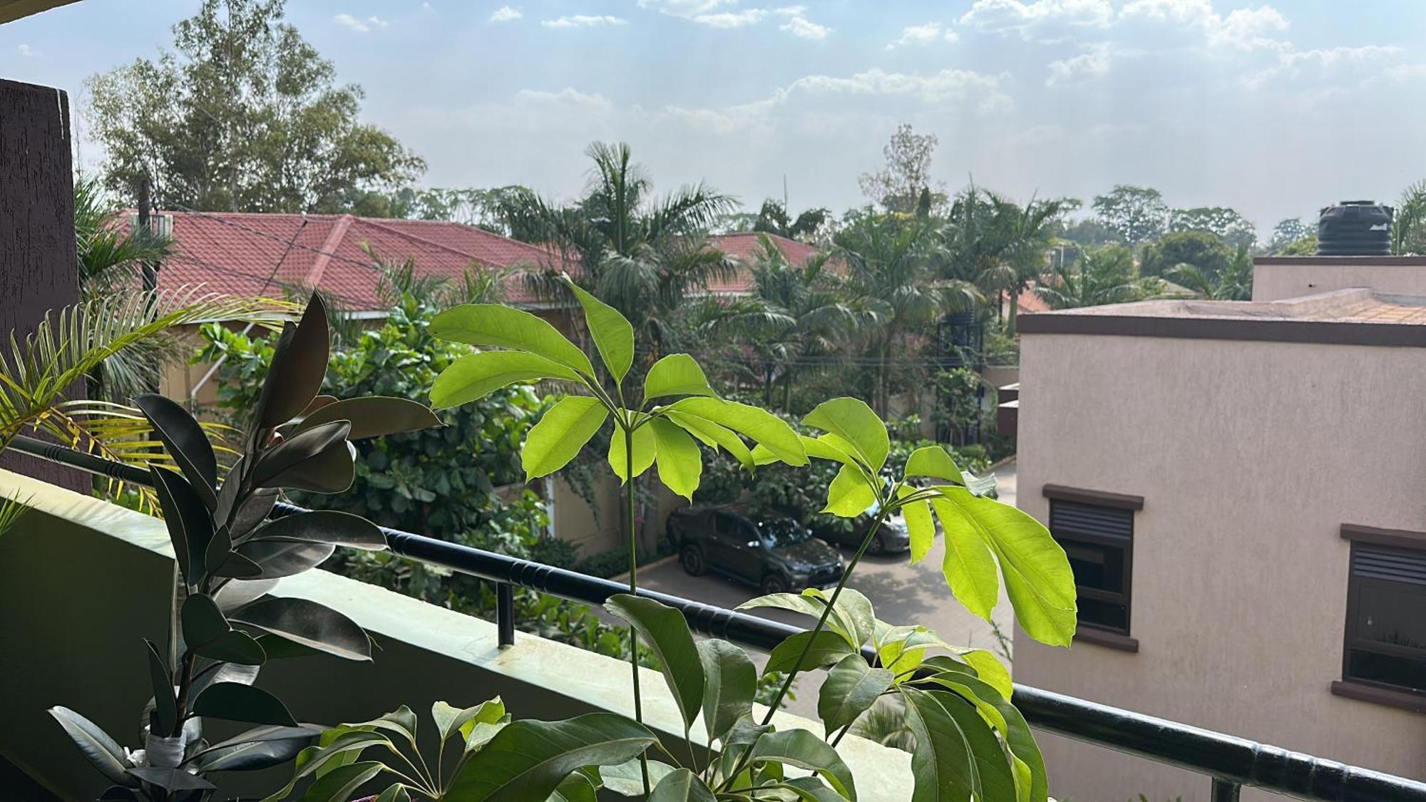 Elena & Kimberly Apartment Gulu Exterior photo